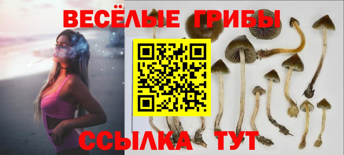 Псилоцибиновые грибы мухоморы  Вход с VPN  Магадан 